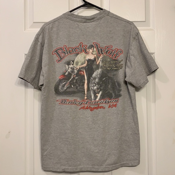 Harley-Davidson Grey "You Are What You Ride" Graphic Tee with Back Design - Picture 5 of 6